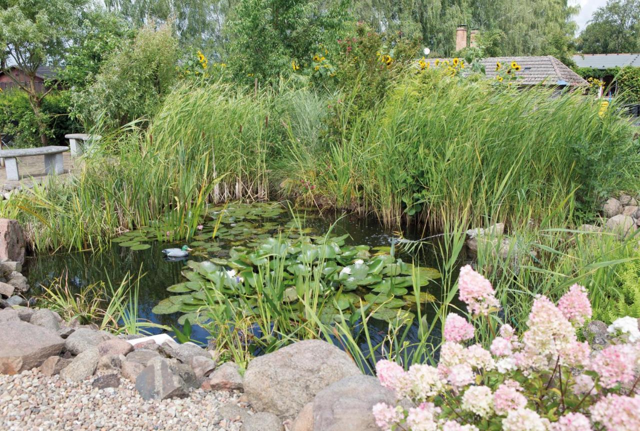 Maisonetten Apartment Rheinsberg